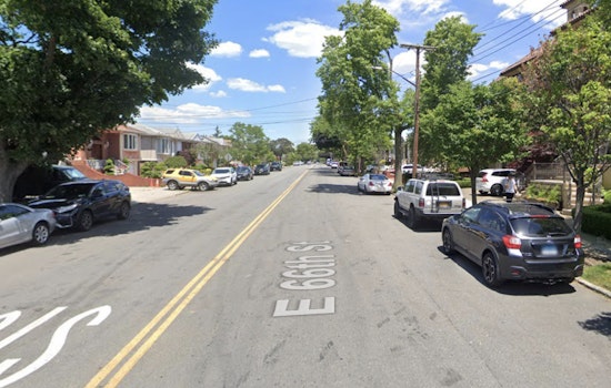 Woman Found Dead in Brooklyn Home Alongside Over 80 Neglected Dogs