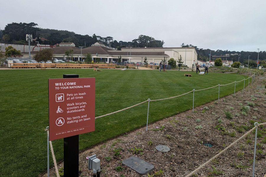 The meadow itself with green lawn space and surrounding gardens