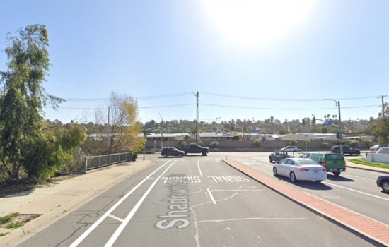 23-Year-Old Driver Fatally Injured After Striking Tree in Vista Collision