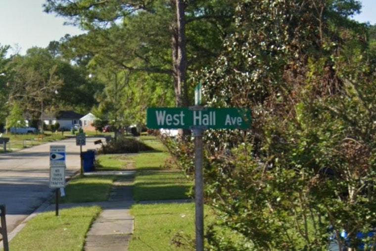 6-Year-Old Airlifted to New Orleans Hospital After Family Pit Bull Attack in Slidell