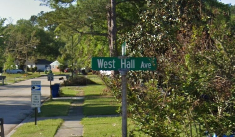 6-Year-Old Airlifted to New Orleans Hospital After Family Pit Bull Attack in Slidell