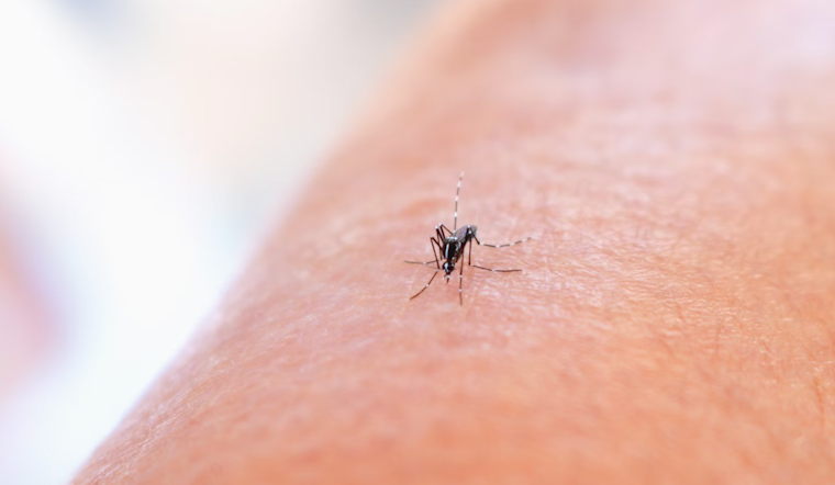 Allegheny County Responds to West Nile Threat with Pesticide Treatments in Seven Neighborhoods