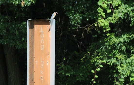 AmeriCorps Member Champions Bird Population Growth in Ramsey County’s Parks Amid Program Funding Concerns