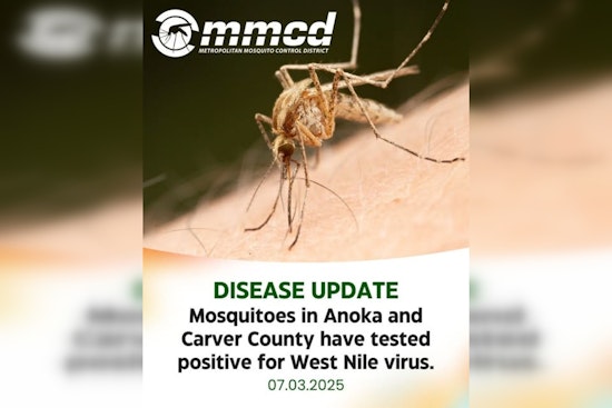 Anoka and Carver County Alert: Mosquitoes Test Positive for West Nile Virus