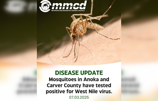 Anoka and Carver County Alert: Mosquitoes Test Positive for West Nile Virus
