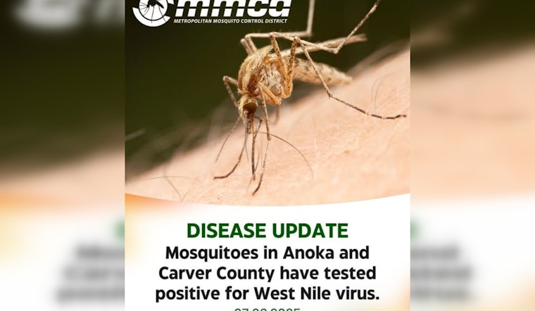 Anoka and Carver County Alert: Mosquitoes Test Positive for West Nile Virus