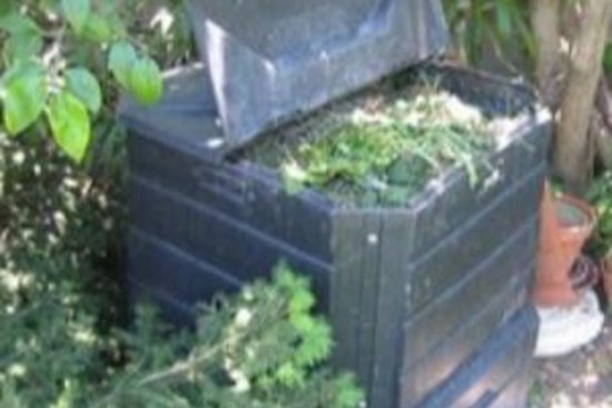 Apple Valley Residents Embrace Urban Composting: Guidelines Issued for Eco-Friendly Waste Management