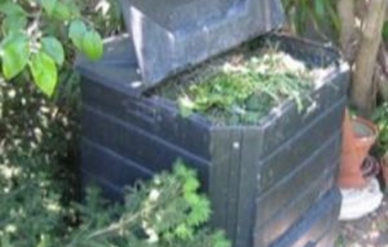 Apple Valley Residents Embrace Urban Composting: Guidelines Issued for Eco-Friendly Waste Management
