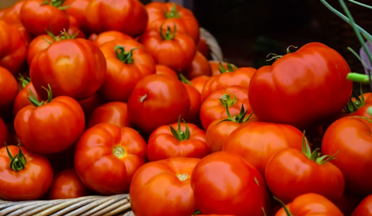 Arizona Leaders Warn of Economic Fallout as U.S. Slaps 17% Duty on Mexican Tomatoes