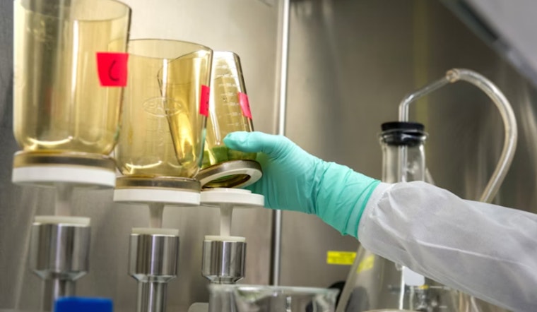 Arizona Teen Innovates Biodegradable Cups, Leads Indian American Dominance in 3M Young Scientist Challenge