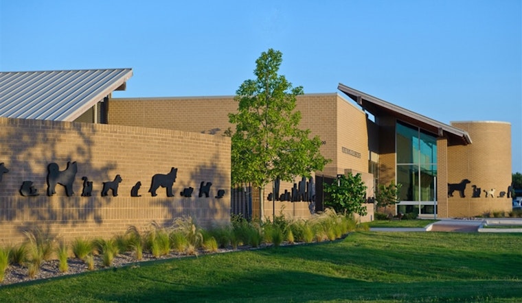 Arlington Shelter Halts Owner-Surrendered Pet Admissions Due to Overcapacity, Urges Public to Seek Alternatives
