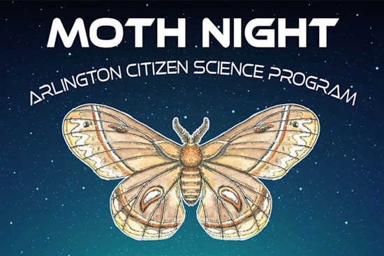 Arlington's Moth Night Beckons Adventurous Spirits to Webb Community Park for National Moth Week Celebrations