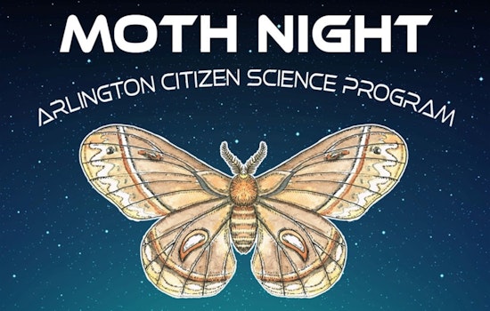 Arlington's Moth Night Beckons Adventurous Spirits to Webb Community Park for National Moth Week Celebrations