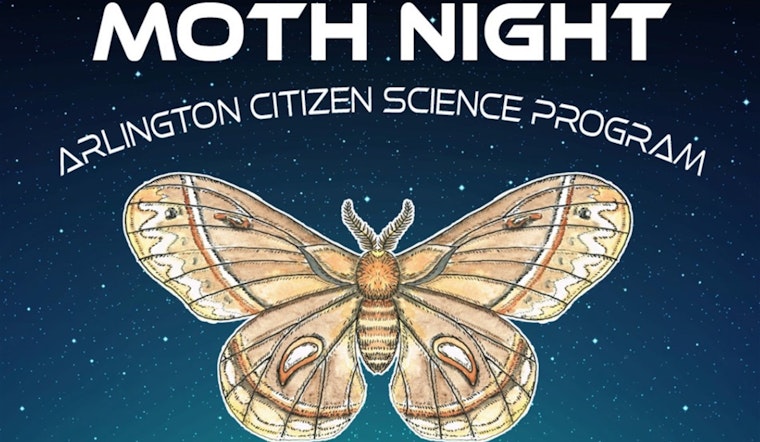 Arlington's Moth Night Beckons Adventurous Spirits to Webb Community Park for National Moth Week Celebrations