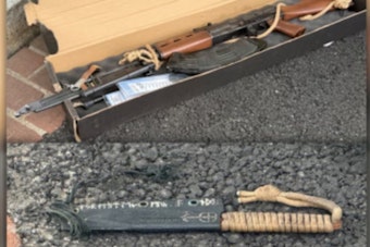 Armed to the Teeth: Oregon Man Busted with Weapons Trove at U.S. Capitol