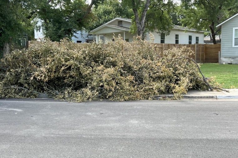 Austin Urges Regular Brush Removal to Safeguard Against Wildfires and Flooding Amid Erratic Weather Patterns