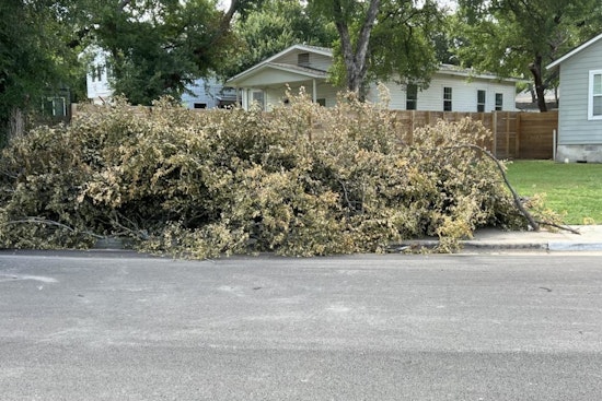 Austin Urges Regular Brush Removal to Safeguard Against Wildfires and Flooding Amid Erratic Weather Patterns