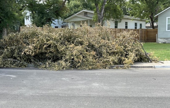 Austin Urges Regular Brush Removal to Safeguard Against Wildfires and Flooding Amid Erratic Weather Patterns