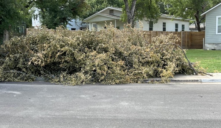 Austin Urges Regular Brush Removal to Safeguard Against Wildfires and Flooding Amid Erratic Weather Patterns