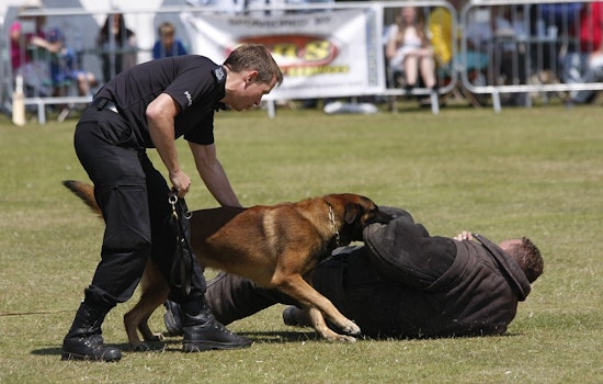 Avondale Police Department Unveils State-of-the-Art K-9 Training Center With Ribbon-Cutting Ceremony
