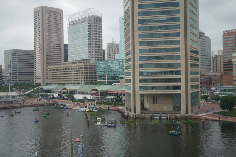Baltimore Braces for Potential Flash Flooding as Chantal Remnants Approach