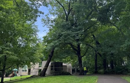 Beebe Lake County Park to Temporarily Close for Hazardous Tree Removal on July 10