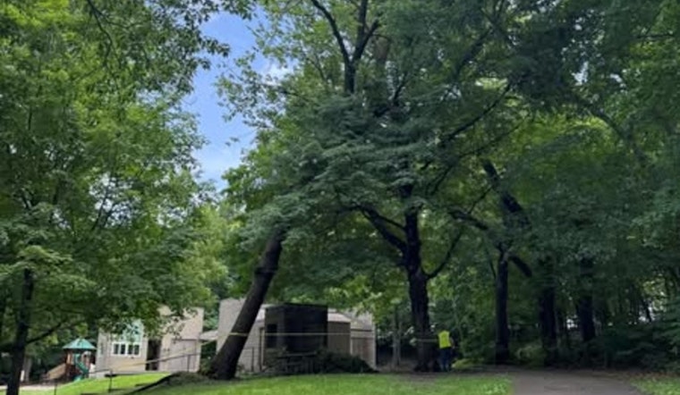 Beebe Lake County Park to Temporarily Close for Hazardous Tree Removal on July 10