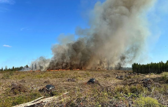 Belfair Residents Evacuate as Toonerville Fire Engulfs 100 Acres; Cooler Weather Offers Brief Respite Amidst Ongoing Battle