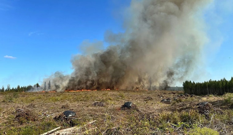 Belfair Residents Evacuate as Toonerville Fire Engulfs 100 Acres; Cooler Weather Offers Brief Respite Amidst Ongoing Battle