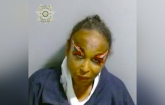 Bench Warrant Issued for Arrest of Atlanta's "BirdLady" on Theft by Deception Charges