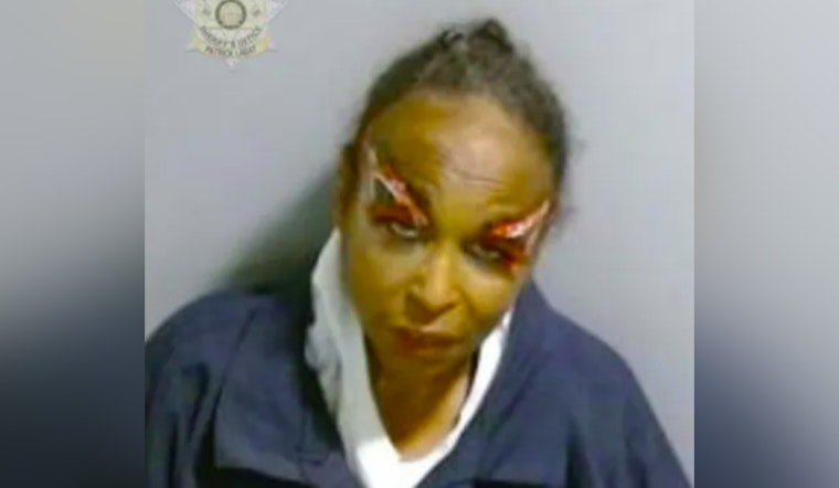 Bench Warrant Issued for Arrest of Atlanta's "BirdLady" on Theft by Deception Charges