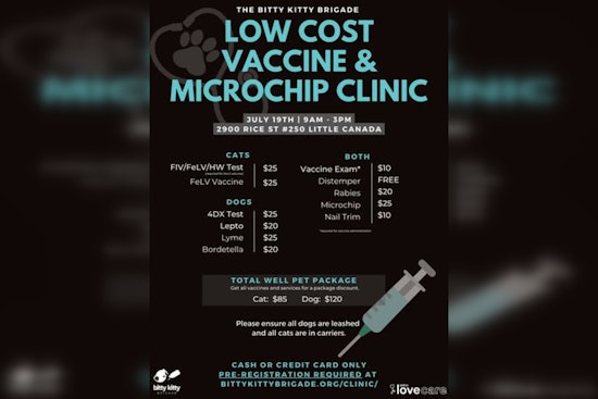 Bitty Kitty Brigade Launches Affordable Pet Care Clinic Near Brooklyn Park, MN