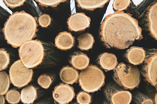 BLM to Offer 54 Million Board Feet of Timber Across Western Oregon, Bolstering Construction Industry and Local Economies
