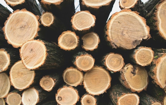 BLM to Offer 54 Million Board Feet of Timber Across Western Oregon, Bolstering Construction Industry and Local Economies