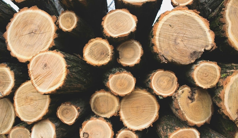 BLM to Offer 54 Million Board Feet of Timber Across Western Oregon, Bolstering Construction Industry and Local Economies