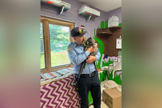 Bloomington Firefighters Forge Bonds with Shelter Pets Awaiting Adoption: A Tale of Resilience and Compassion