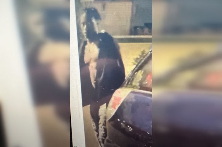 Bloomington Police Seek Public's Help After 40 Vehicles Vandalized in Overnight Crime Spree on American Blvd East
