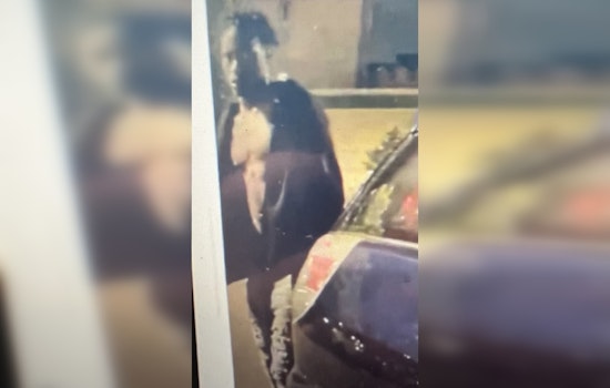 Bloomington Police Seek Public's Help After 40 Vehicles Vandalized in Overnight Crime Spree on American Blvd East