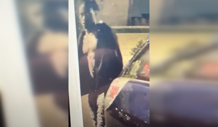 Bloomington Police Seek Public's Help After 40 Vehicles Vandalized in Overnight Crime Spree on American Blvd East