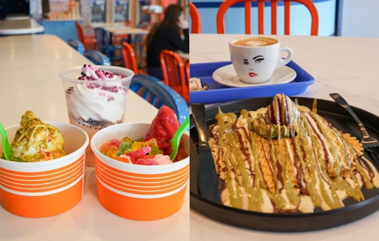 Blueline Sweets: Sterling Heights’ New Go-To Spot for Frozen Yogurt and Coffeehouse Charm