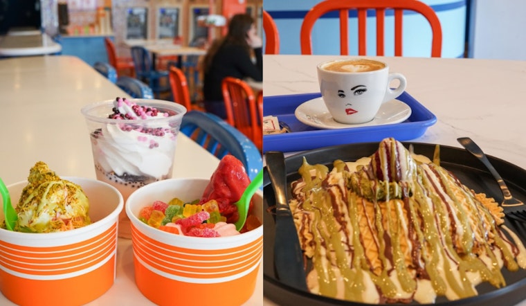 Blueline Sweets: Sterling Heights’ New Go-To Spot for Frozen Yogurt and Coffeehouse Charm
