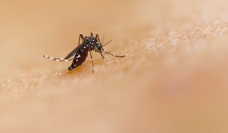 Boston Health Officials Report First West Nile Virus Detection in Mosquitoes This Season in West Roxbury and Hyde Park