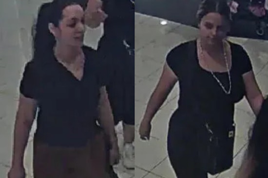 Boston Police Seek Public Assistance in Identifying Suspects in Downtown Macy's Larceny Case