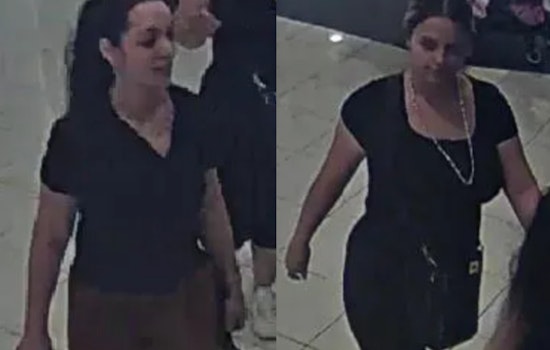 Boston Police Seek Public Assistance in Identifying Suspects in Downtown Macy's Larceny Case