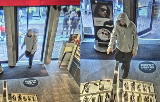 Boston Police Seek Public's Help to Identify Suspect in Faneuil Hall Sunglasses Theft