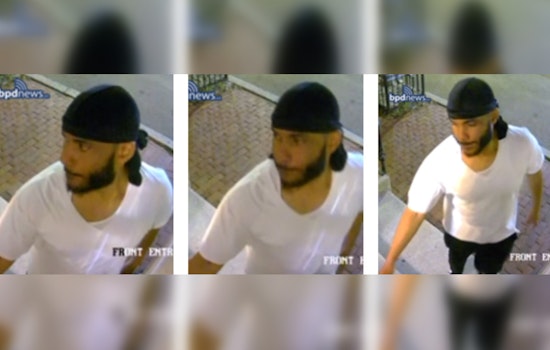 Boston Police Seek Public's Help to Identify Suspect in Roxbury Pizza Shop Break-In