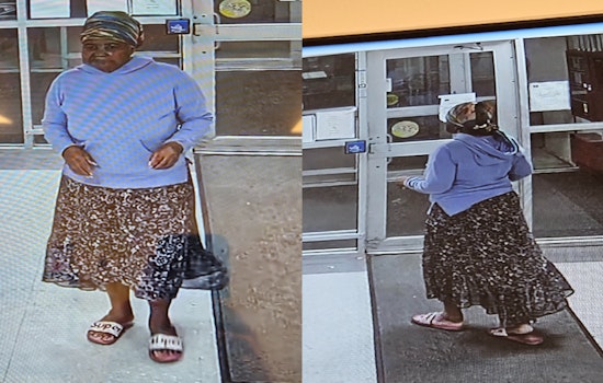 Brockton Police Seek Public's Aid in Search for Missing 70-Year-Old Marie Louissaint