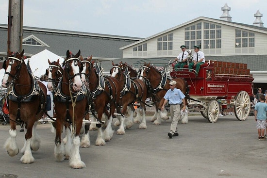 Budweiser Clydesdales to Deliver Cheer in Atlanta During MLB All-Star Week