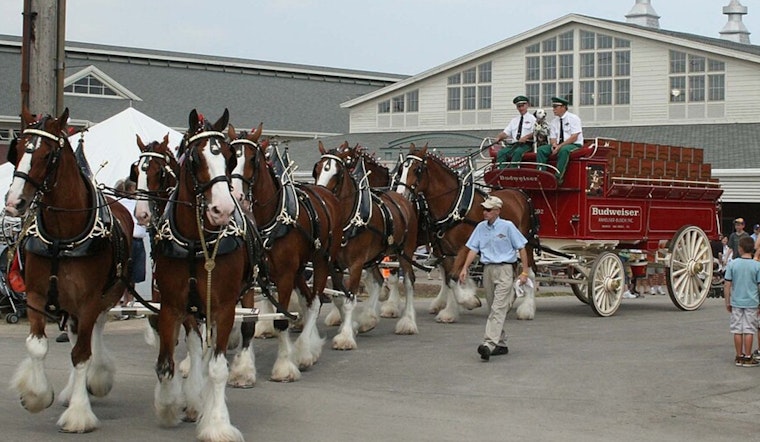Budweiser Clydesdales to Deliver Cheer in Atlanta During MLB All-Star Week
