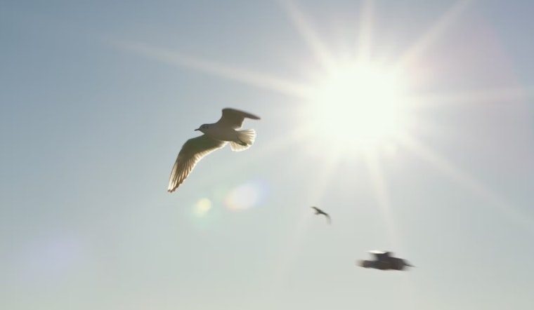 Butler County Sheriff's Office Issues Heat Advisory for Ohio, Indiana, and Kentucky, Urges Precautions Against Soaring Temps